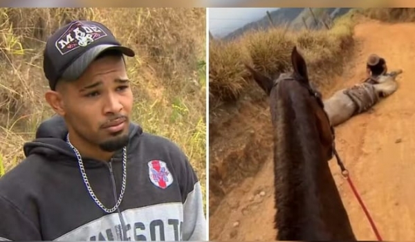 'Cortei por cortar': homem que cortou patas de cavalo disse que estava alcoolizado
