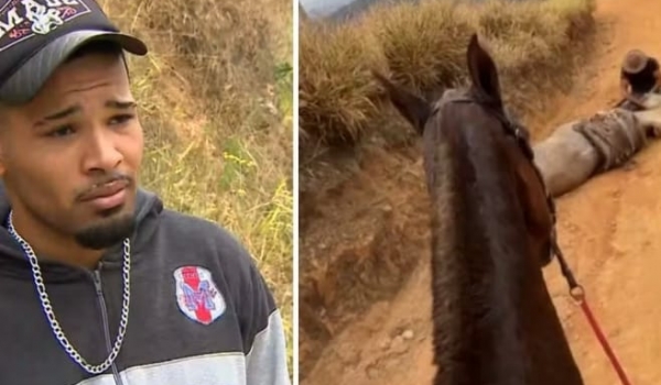Perícia conclui que cavalo estava vivo quando tutor mutilou patas com facão