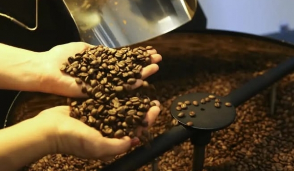 EUA retiram tarifa de 40% de café, carnes, frutas e outros produtos do Brasil