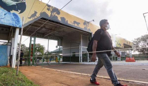 Zoológico de Brasília é fechado após morte de aves; exames vão confirmar ou descartar gripe aviária