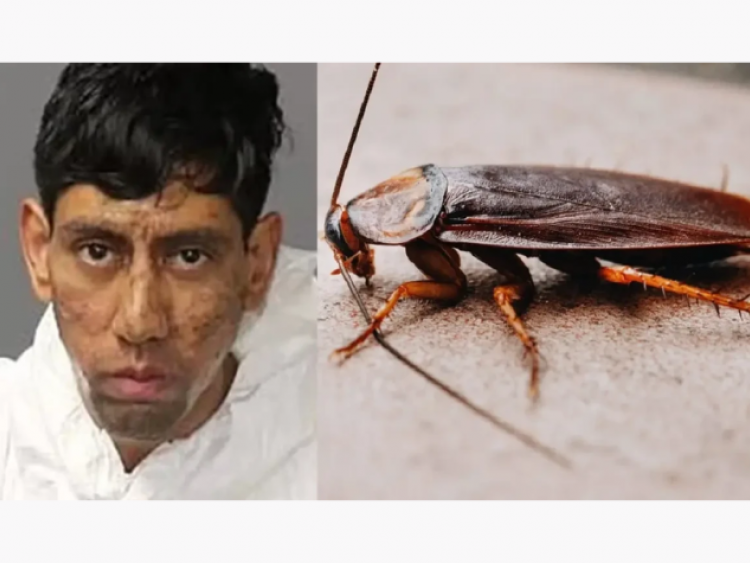 Acusado de duplo homicídio afirma ter recebido 