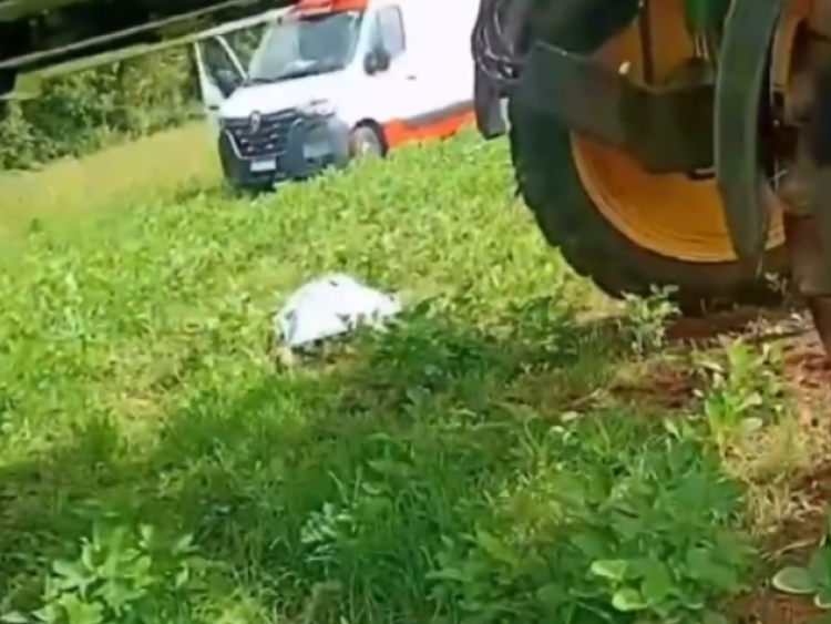Descarga elétrica mata jovem durante trabalho em fazenda de Paraúna