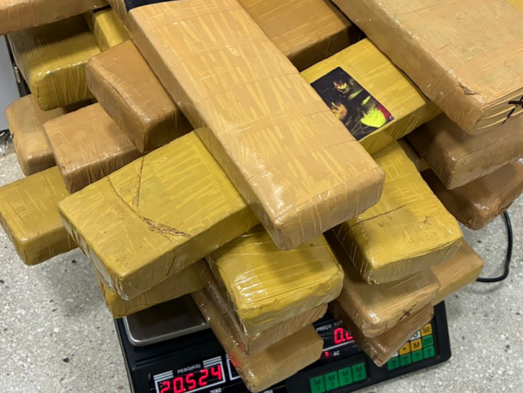 Batalhão Rural apreende 100 kg de maconha e prende traficante na zona rural de São Simão