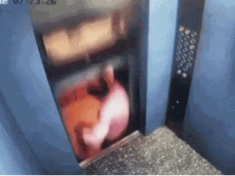 Homem escapa por pouco de ser esmagado ao sair de elevador na Índia