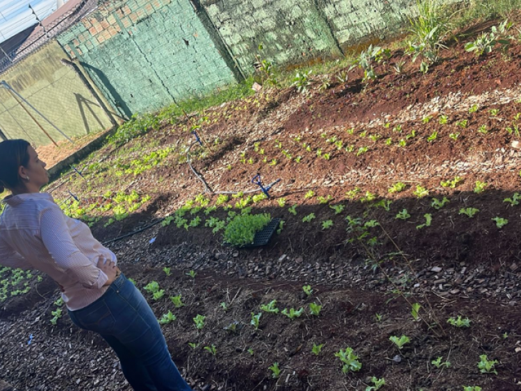 Horta na Escola leva sustentabilidade e alimentação saudável a alunos da Maria Brígida