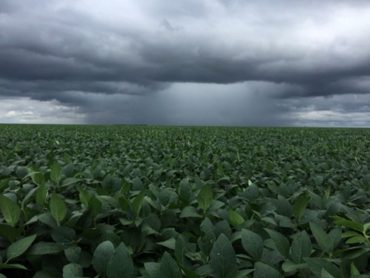 Expedição Safra Goiás 2025/26 será realizada em Rio Verde no dia 20 de janeiro