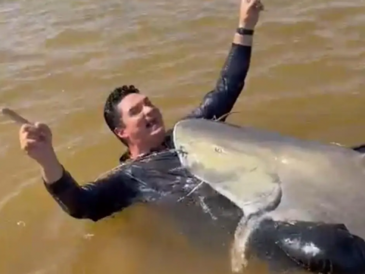 Pescador fisga piraíba gigante de 2,16 metros no Rio Araguaia
