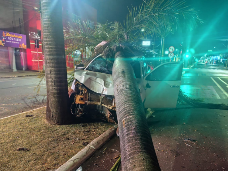 Caminhonete atinge coqueiro e árvore é arrancada após acidente na Avenida Presidente Vargas, em Rio Verde