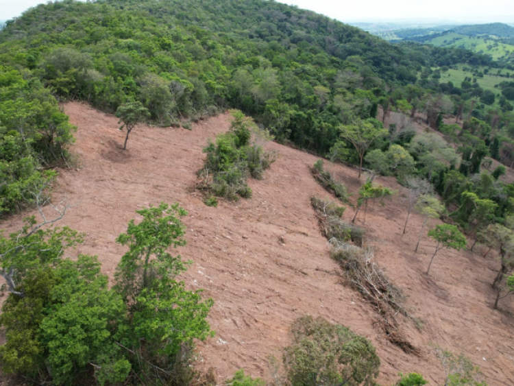 Secretaria de Meio Ambiente de Goiás autua produtor por desmatamento ilegal 