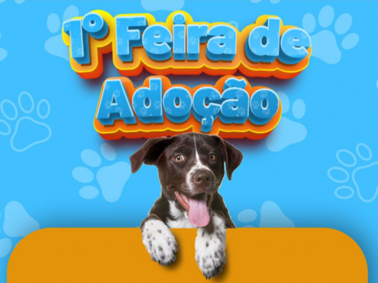 Rio Verde promove 1ª feirinha de adoção de animais adultos no Espelho DÁgua