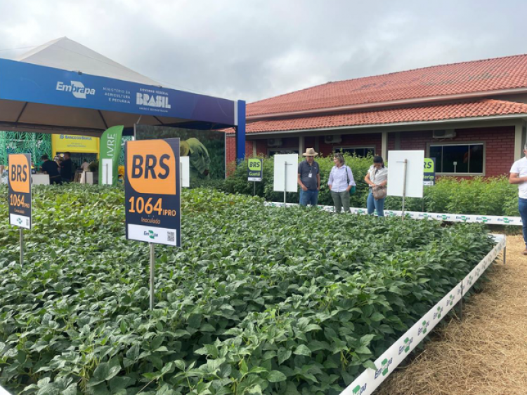 Ciência e inovação impulsionam o agro na Tecnoshow COMIGO 2026 em Rio Verde