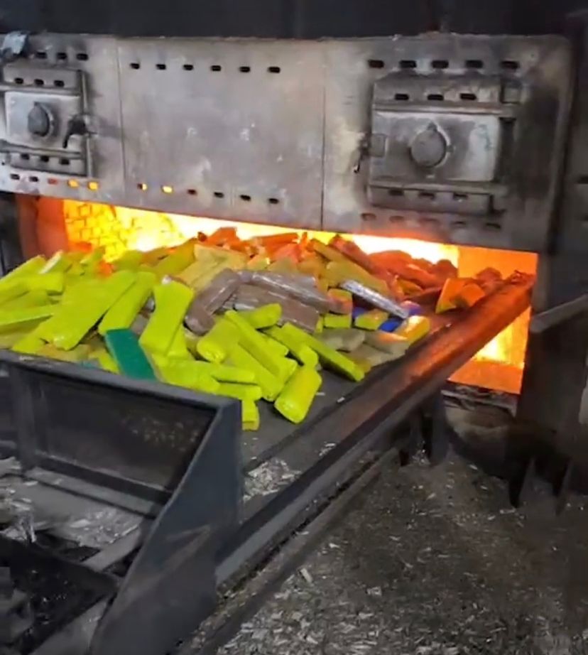 Polícia incinera 600kg de entorpecentes apreendidos em Rio Verde e região