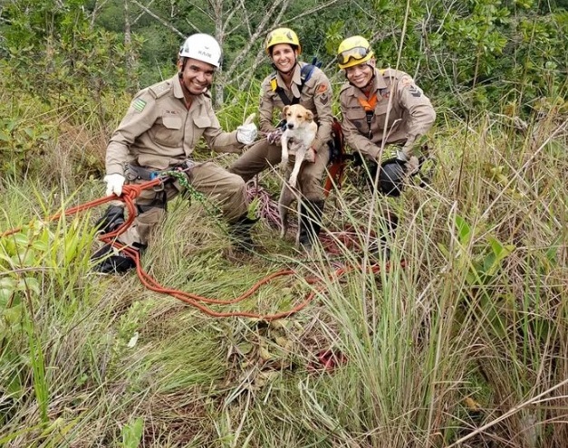 Bombeiros resgatam duas cadelas em ribanceira perto de cachoeira no Sudoeste goiano