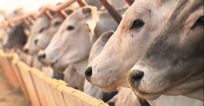 Faeg parabeniza, Alego pela derrubada do veto e multas sobre operações de deslocamento de animais sem nota fiscal podem ser anuladas