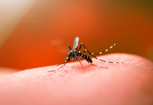 Goiás é o terceiro estado brasileiro a registrar mais mortes por Dengue