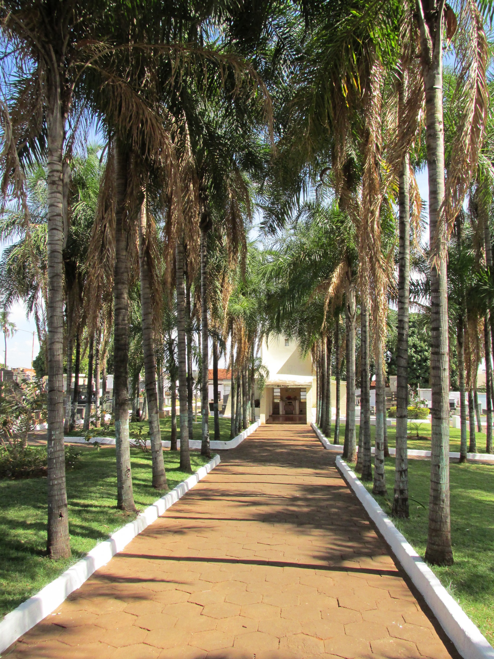 Começa amanhã (24) inscrições para barracas funcionarem nos cemitérios em feriado de Finados