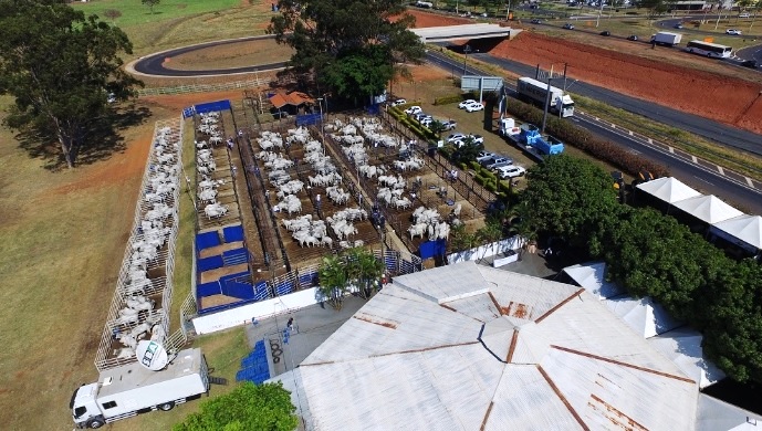 Justiça proíbe que Prefeitura de Jataí repasse R$ 300 mil a Sindicato para organização da Exposição
