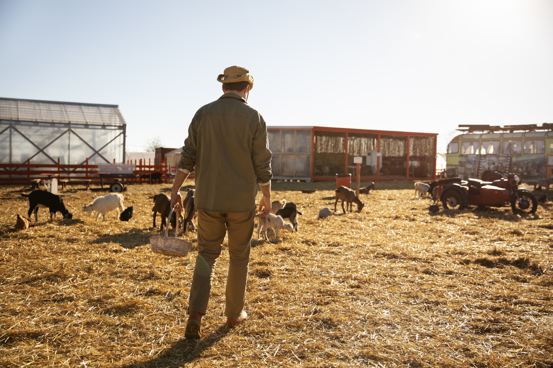 Senar Goiás lança programa especial para formar gerentes do agro