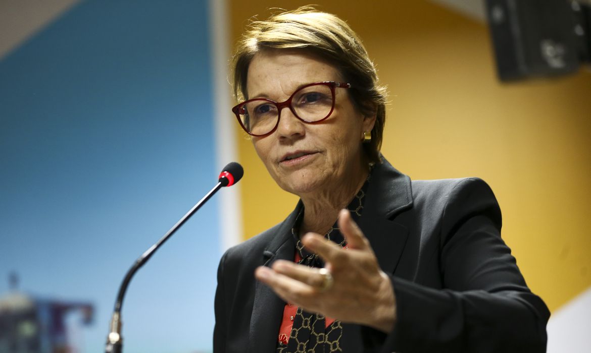 Ministra afirma que Brasil deve retomar com exportação de carne à China até fim do ano