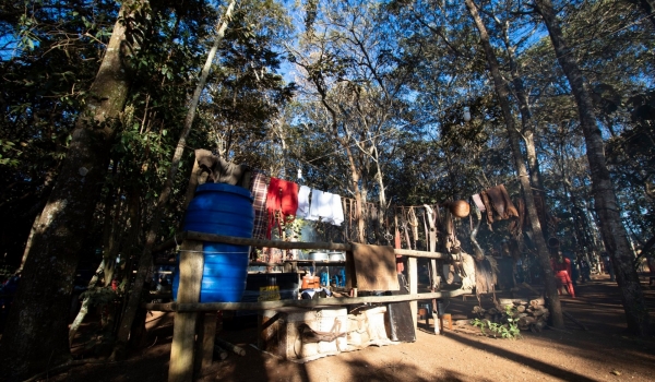 Queima do Alho: Celebração da tradição campeira e sabores deliciosos agitam Rio Verde neste mês