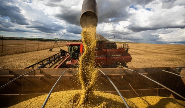 Conab anuncia que produção de grãos no Brasil pode chegar a 269,3 milhões de toneladas nesta safra