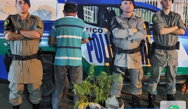 Denúncia de mandado em aberto resulta na prisão de indivíduo que plantava maconha no quintal