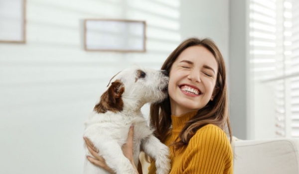 Comissão aprova regra sobre guarda compartilhada de animais em casos de separação