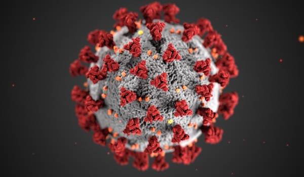Estudo afirma que a subvariante da Ômicron é mais infecciosa que a cepa original