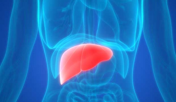 Hepatite misteriosa: 384 casos no mundo, 44 suspeitas no Brasil e criação de Sala do MS