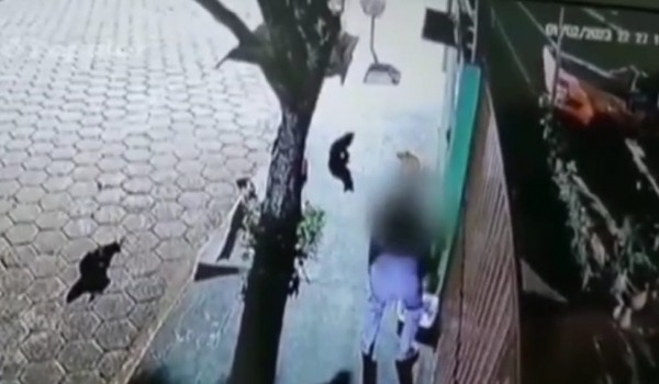 Idoso de Caçu é investigado suspeito de envenenar gatos