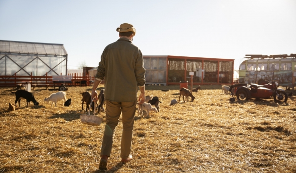 Senar Goiás lança programa especial para formar gerentes do agro