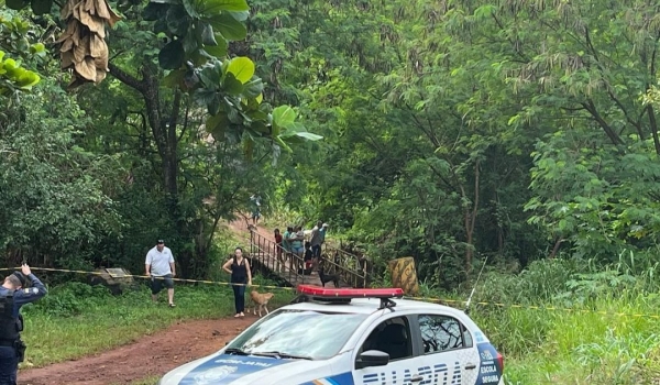 Motociclista morre após bater em árvore e cair em córrego em Jataí